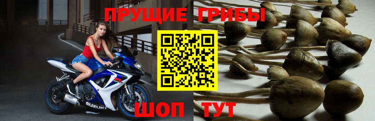 Абакан  Галлюциногенные грибы ЛСД  Галлюциногенные грибы Psilocybe  Вход с VPN 